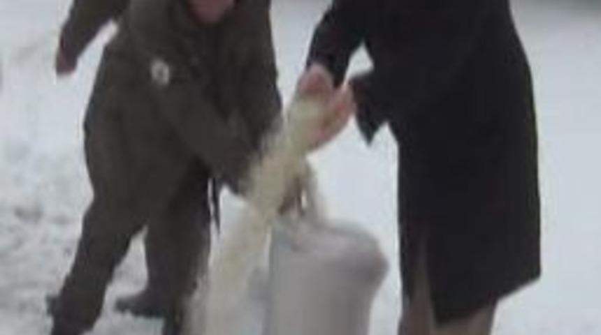 Yoğun Karda Doğadaki Hayvanlara 1 Ton Yem Bırakıldı