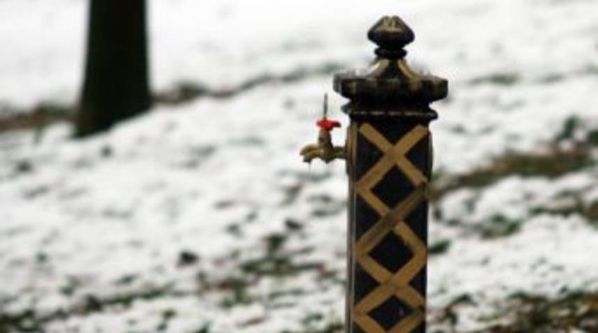 Yeşil Bursa, Beyaz &Ouml;rt&uuml;s&uuml;ne B&uuml;r&uuml;nd&uuml;