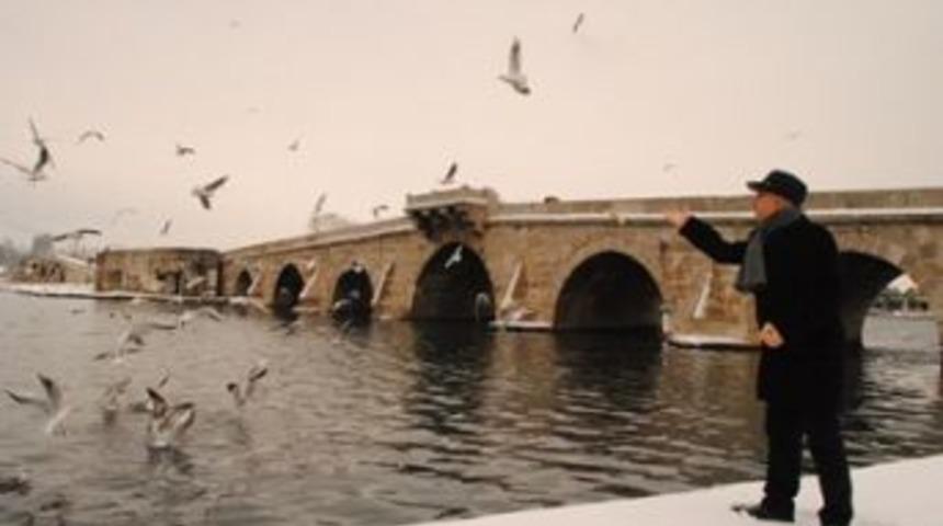 B&uuml;y&uuml;k&ccedil;ekmece'de sokak hayvanları unutulmadı