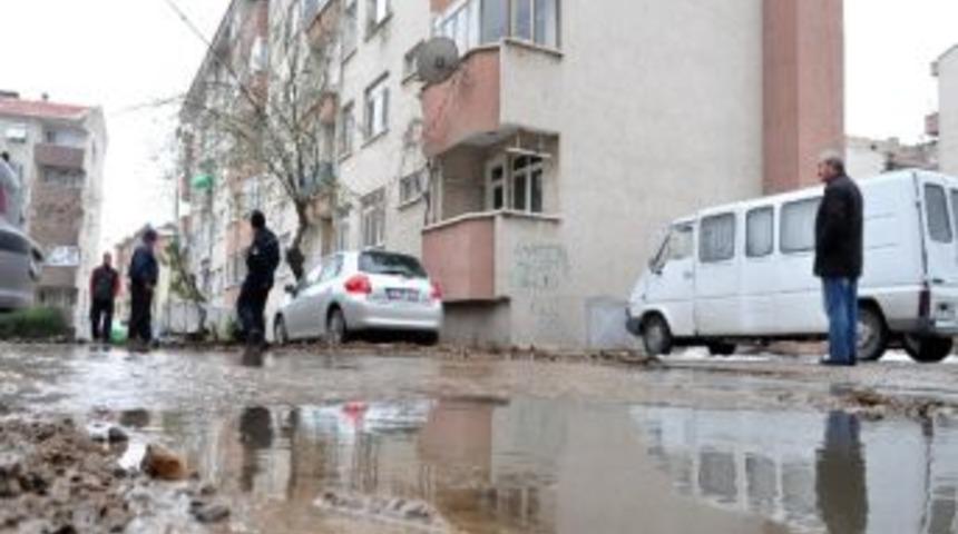 G&uuml;ne Su İ&ccedil;inde Uyandılar