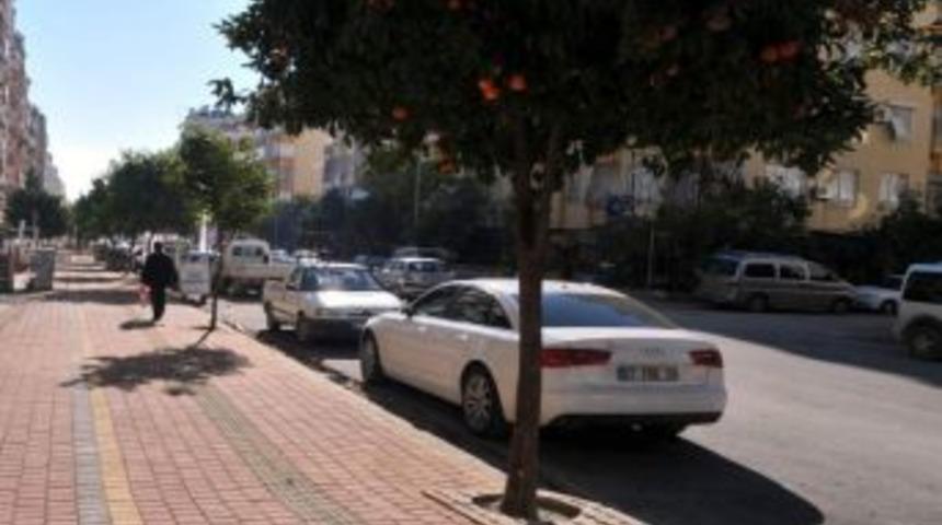 Dokuma&rsquo;da Asfalt &Ccedil;alışmaları Devam Ediyor