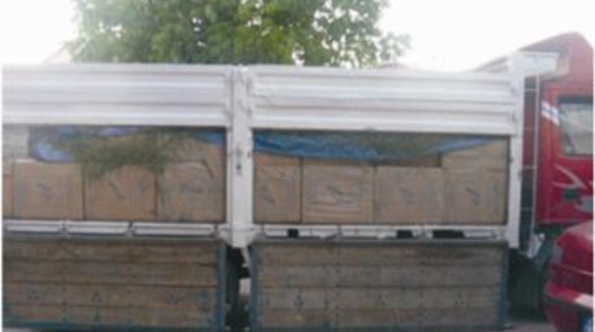 Siirt'te Son 6 Ayda 124 Bin Paket Ka&ccedil;ak Sigara Ele Ge&ccedil;irildi