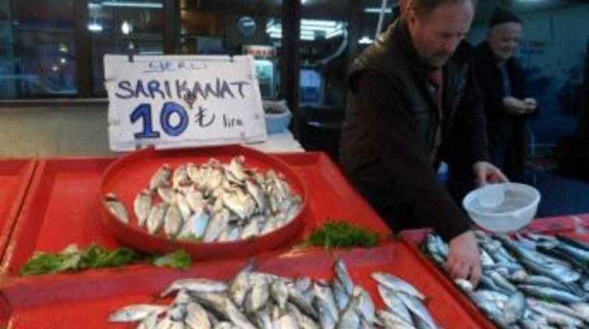 Palamut bitti sarıkanat geldi