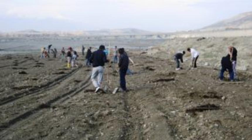 Erzincan&rsquo;da Meyveciliğe B&uuml;y&uuml;k Yatırım