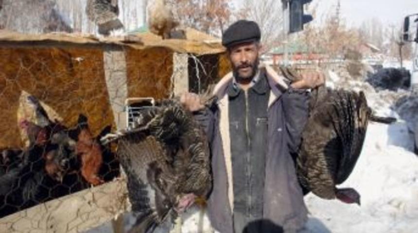 Yılbaşı Hindileri Piyasayı &Ccedil;ıktı