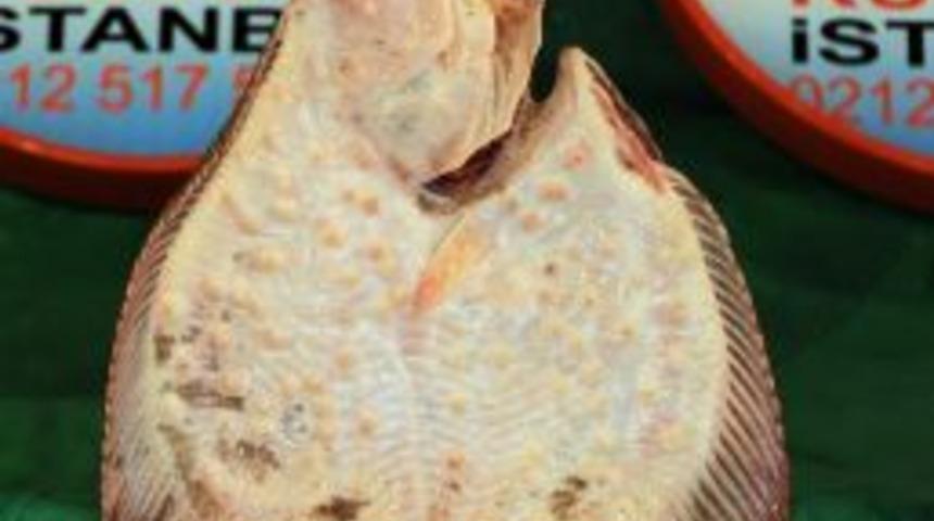 (&ouml;zel Haber) Bu Balık Artık Altın Kadar Değerli