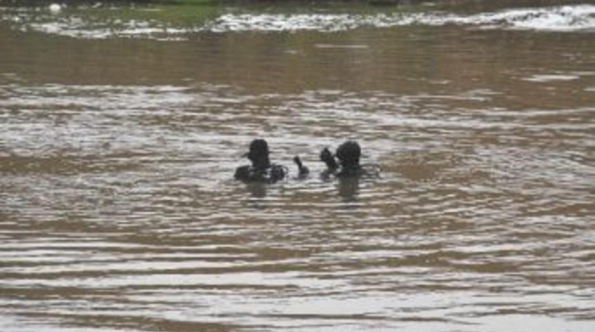 Otomobil Dere Sularına Kapıldı