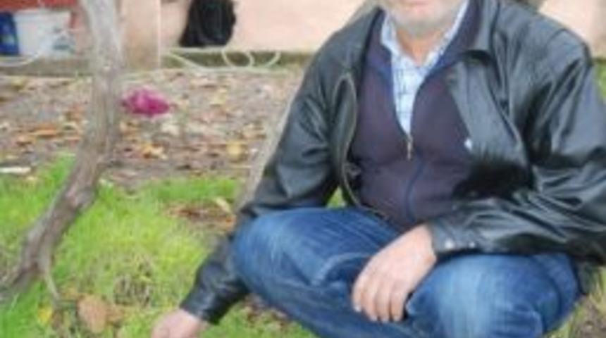 Fethiye'de Erken &Ccedil;ıkan Kuzu G&ouml;beği Şaşırttı