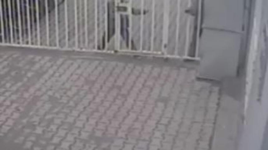 Alışveriş Merkezinden Bot Hırsızlığı