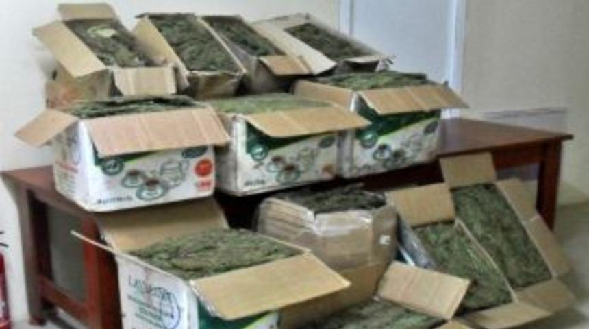 Gaziantep&rsquo;te Uyuşturucu Operasyonu: 6 Kişi Tutuklandı