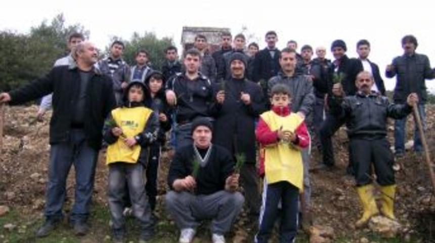 Niksar'da Fidanlar Toprakla Buluştu