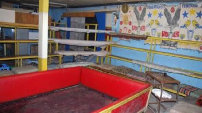 Denizli&rsquo;de Horoz D&ouml;v&uuml;şt&uuml;ren 70 Kişi G&ouml;zaltına Alındı