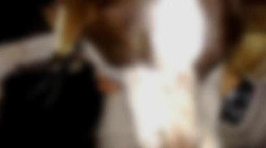 Komşu k&ouml;peğine tecav&uuml;z