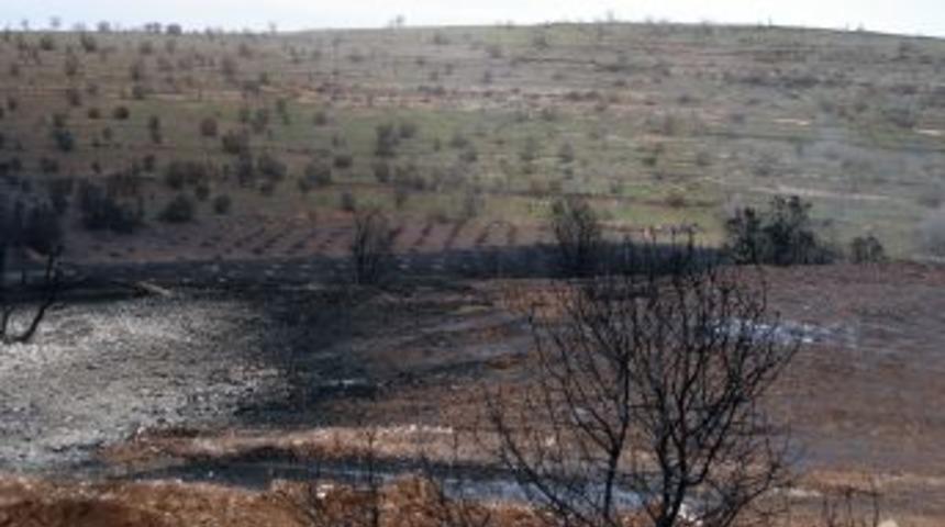 BOTAŞ Boru Hattında &Ccedil;ıkan Yangın