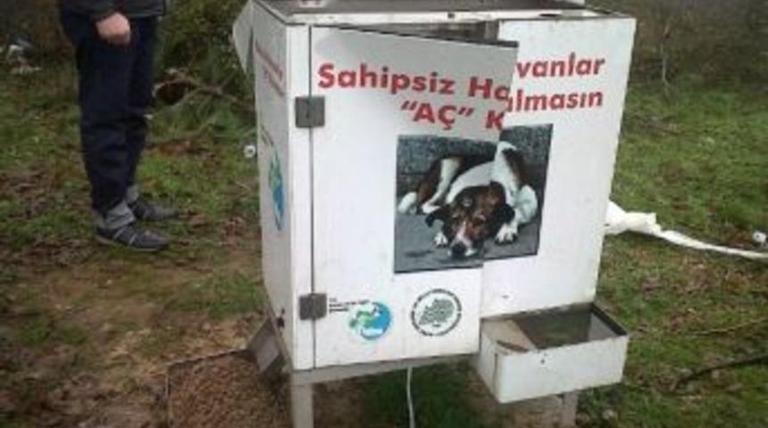 Yem Odağının G&uuml;neş Enerjisini &Ccedil;aldılar