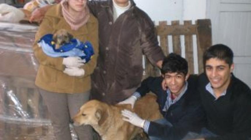 Devrek Myo &Ouml;ğrencileri Sahipsiz Hayvanlara Yiyecek Topladı