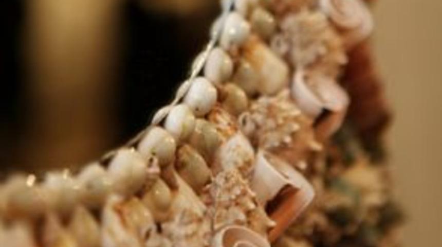 Camların d&uuml;nyasında renkli bir sergi