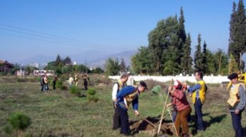 Aydın&rsquo;da Mevsimin İlk Fidanları Toprakla Buluştu