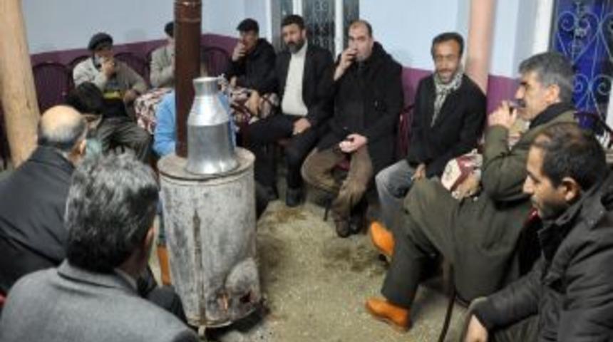 Tunceli'nde Kış Uykusuna Yatmayan Ayı K&ouml;yl&uuml;lere Saldırdı