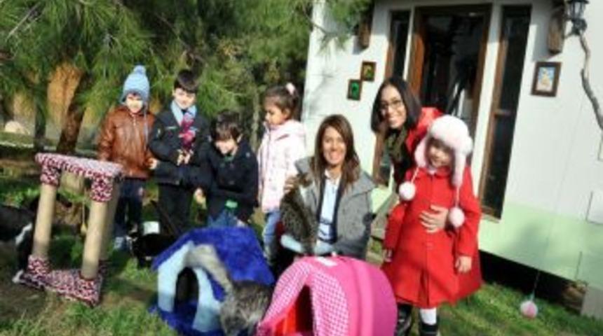 Anaokulu &Ouml;ğrencileri Kediler I&ccedil;in Kermes D&uuml;zenledi