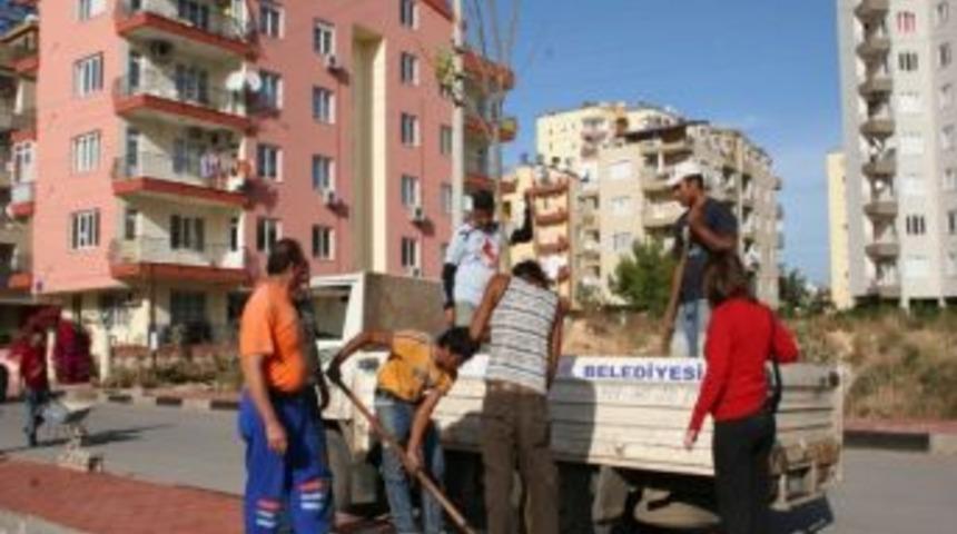 Konyaaltı&rsquo;nda Ağa&ccedil;landırma &Ccedil;alışmaları Başladı