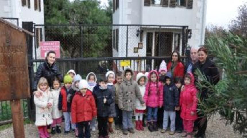 Miniklerden Kedilere Villa