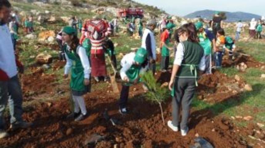 Mersin'de Ağa&ccedil;landırma &Ccedil;alışması