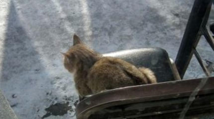 Sarıkamış'ta 2 Metrelik Buz Sarkıtları Oluştu