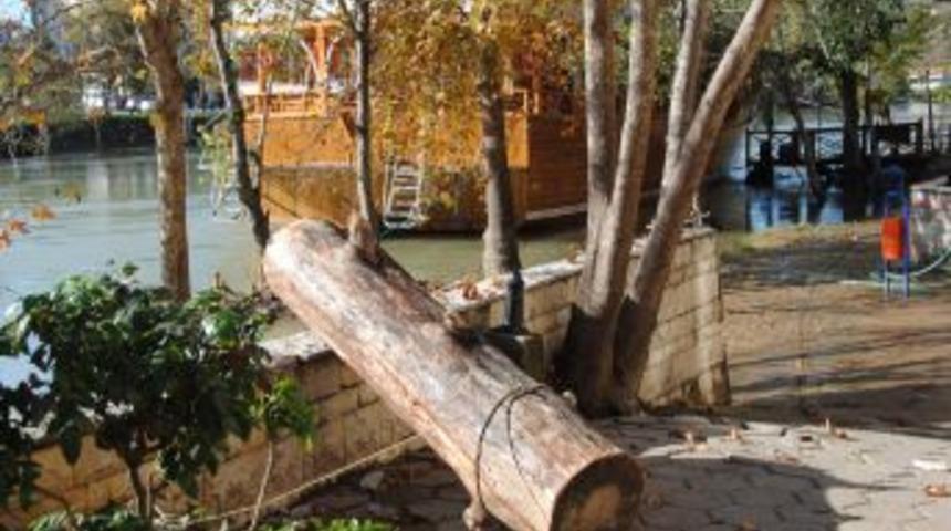 Kışlık Yakacaklarını Manavgat Irmağı'ndan Topluyorlar