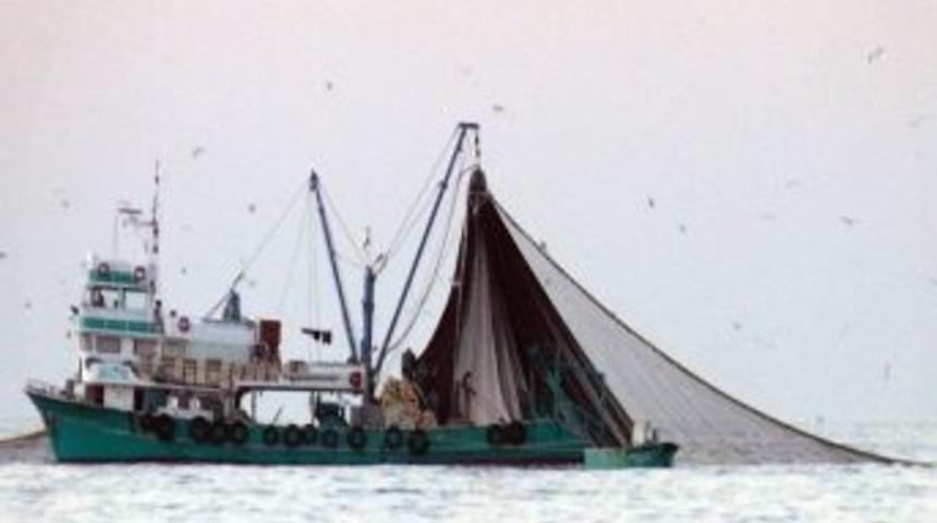 (&ouml;zel) Dev Balık&ccedil;ı Tekneleri Yalova Sahillerini İşgal Etti