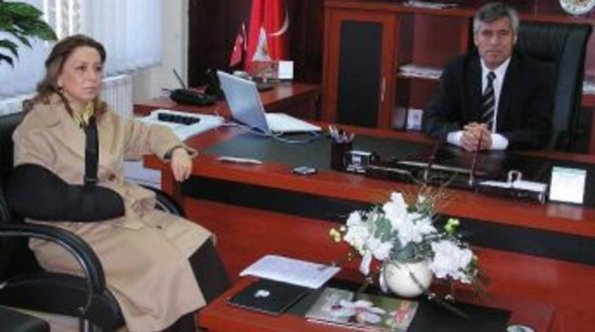 Ak Partililer, Tarım M&uuml;d&uuml;r&uuml; Ali Selvi'yi Ziyaret Etti