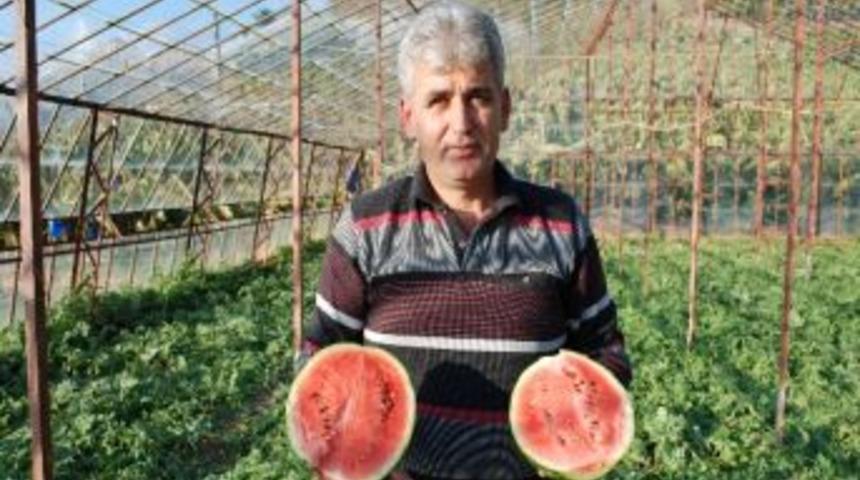 Kış Ortasında Karpuz Keyfi