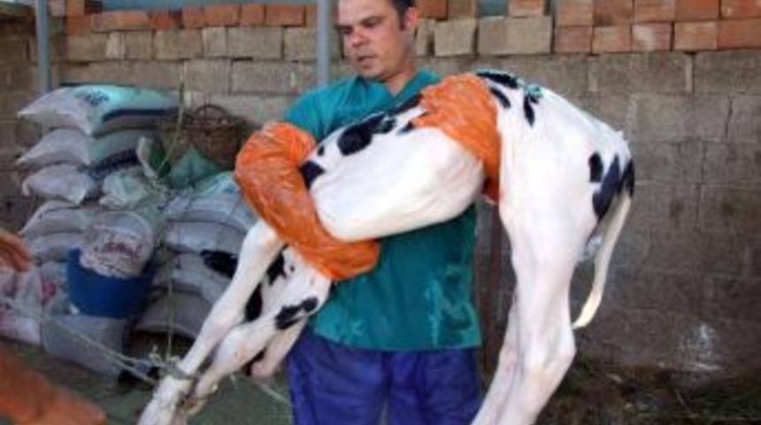 Destekleme M&uuml;racaatları 31 Aralık&rsquo;ta Sona Eriyor