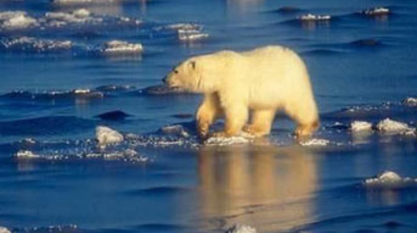 Film değil, GER&Ccedil;EK!