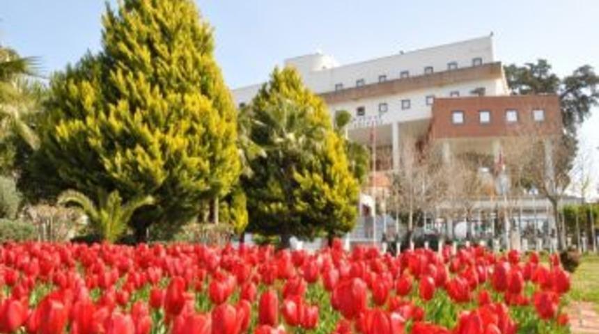 Manavgat'ta Kavşak Ve Ref&uuml;jlere 35 Bin Lale Ekilecek