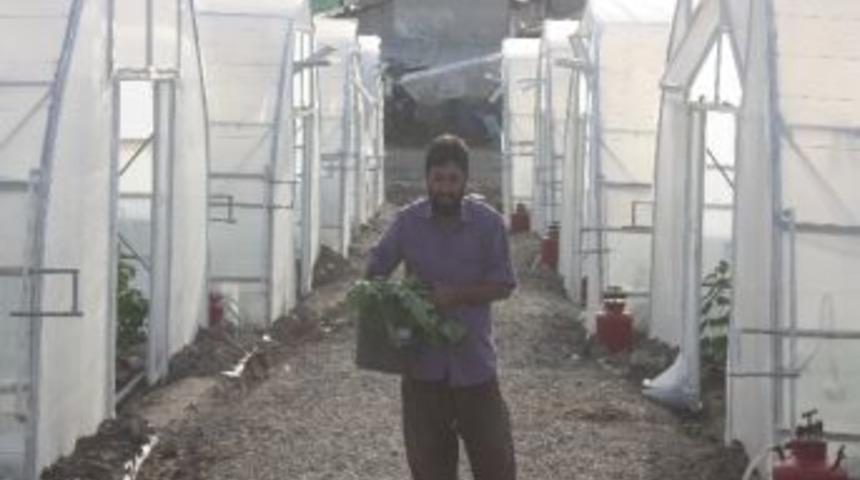 &Ouml;rnek Proje Se&ccedil;ildi