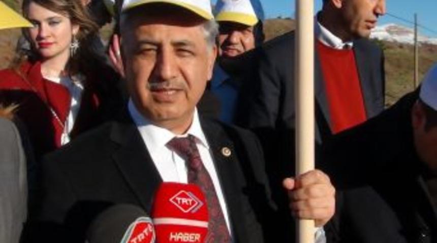 Şırnak&rsquo;ta, AK Kadınlar Ormanı Oluşturuldu