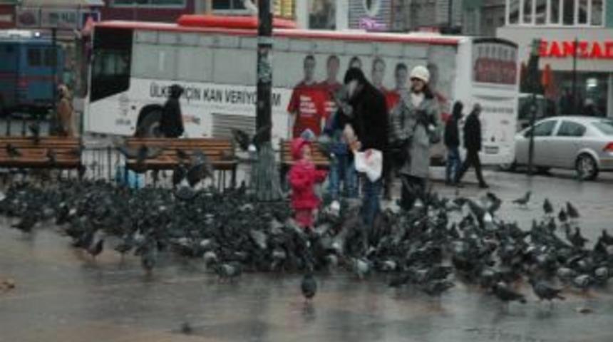 Meydanı Mesken Tutan G&uuml;vercinler &Ccedil;ocuklara Eğlence Oldu