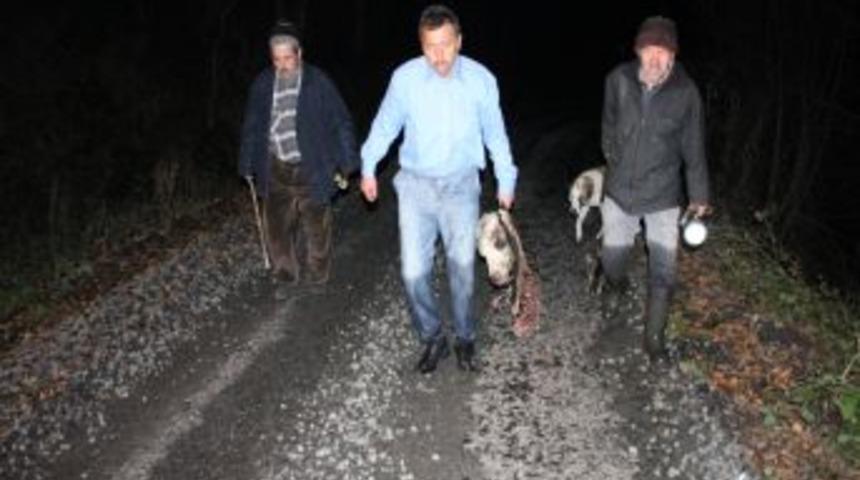 K&ouml;y Halkı Sabaha Kadar T&uuml;fekle &Ccedil;akal Ve Kurt N&ouml;beti Tuttu