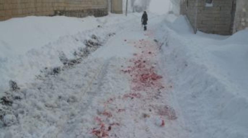 &Ccedil;aldıran Buz Kesti, Kurtlar K&ouml;ylere İndi