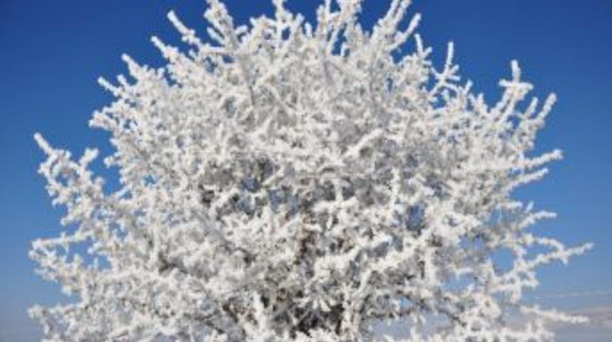 Doğu&rsquo;da Sibirya Soğukları