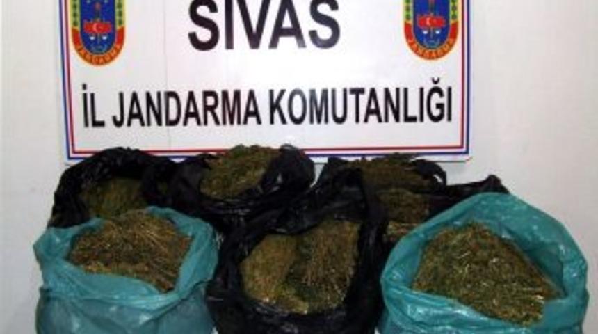 Sivas'ta Esrar Operasyonu