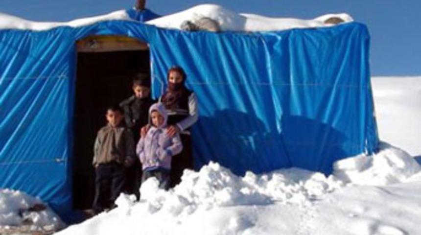 Kar altında yaşam m&uuml;cadelesi