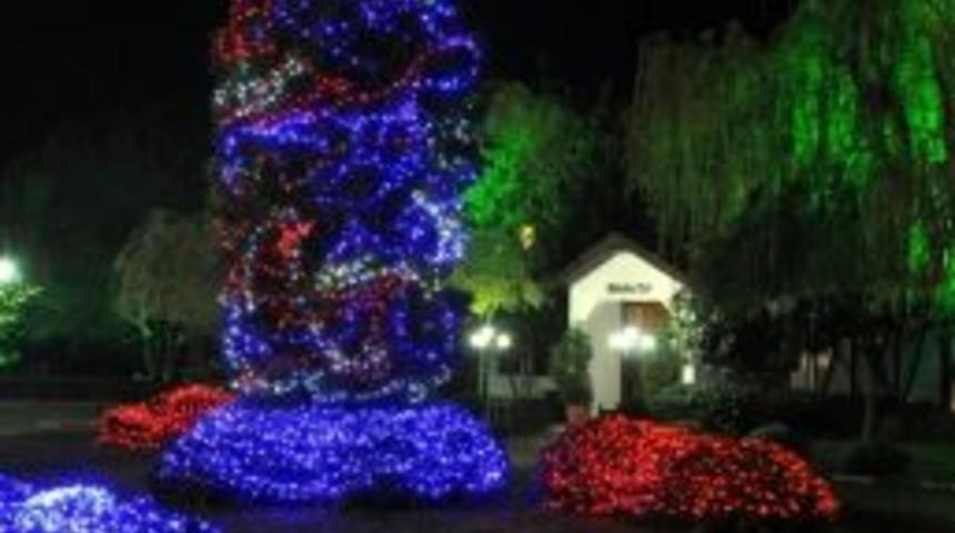 Salihli Sokakları Rengarenk