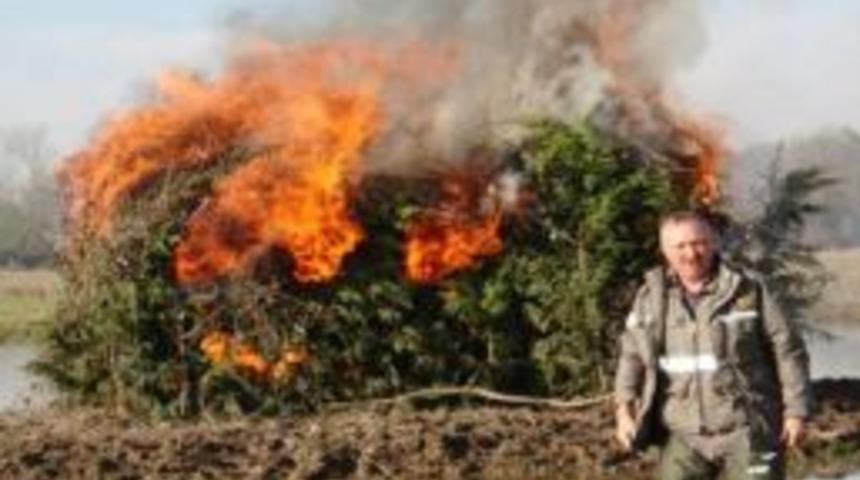 Ka&ccedil;ak G&uuml;meler Alev Alev