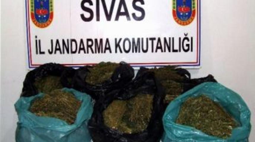 Sivas&rsquo;ta 16 Kilo Esrar Yakalandı