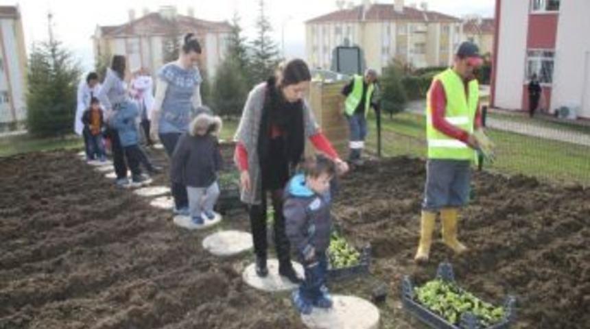 Hobi Bah&ccedil;eleri Hem Eğlendiriyor Hem &Ouml;ğretiyor