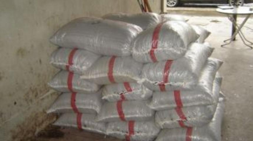 Alaşehir’de Üzüm Hırsızlığı