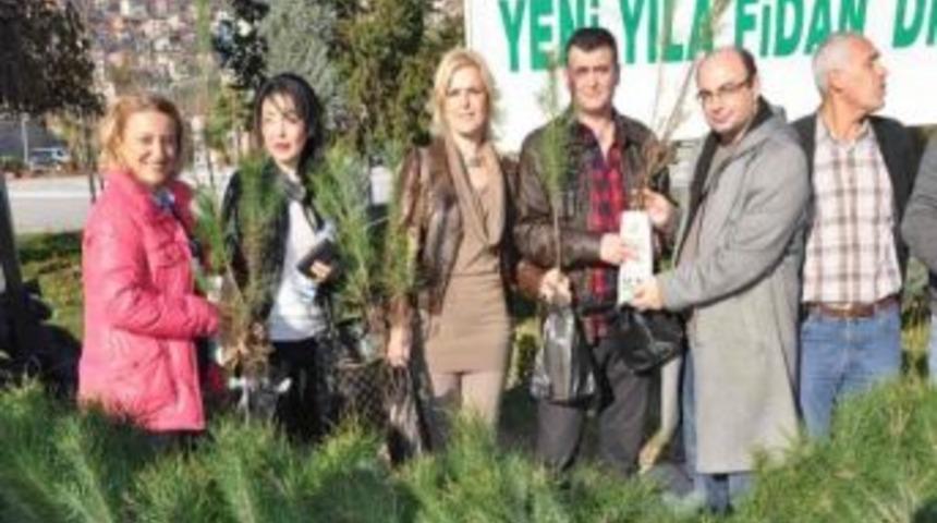 İzmit'te Yılbaşı &Ouml;ncesi 5 Bin &Ccedil;am Fidanı Dağıtıldı