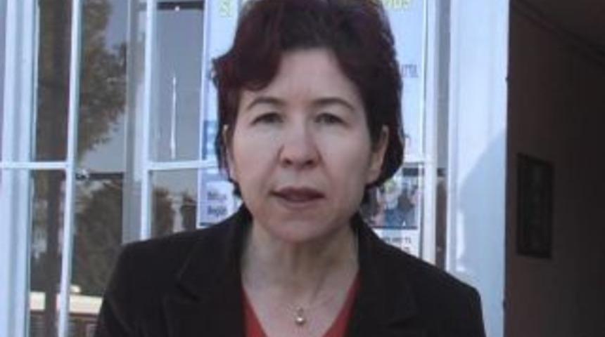 Urfa&rsquo;da domuz gribi salgını yok